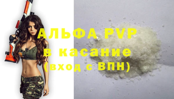 сатива Костерёво