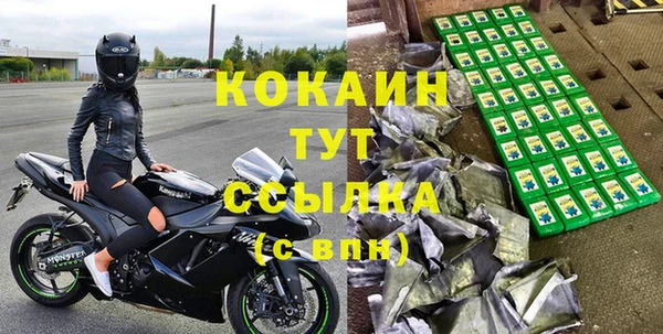 индика Кодинск