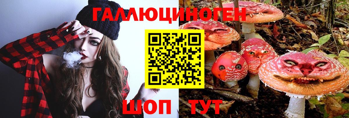 Галлюциногенные грибы Psilocybine cubensis Кохма