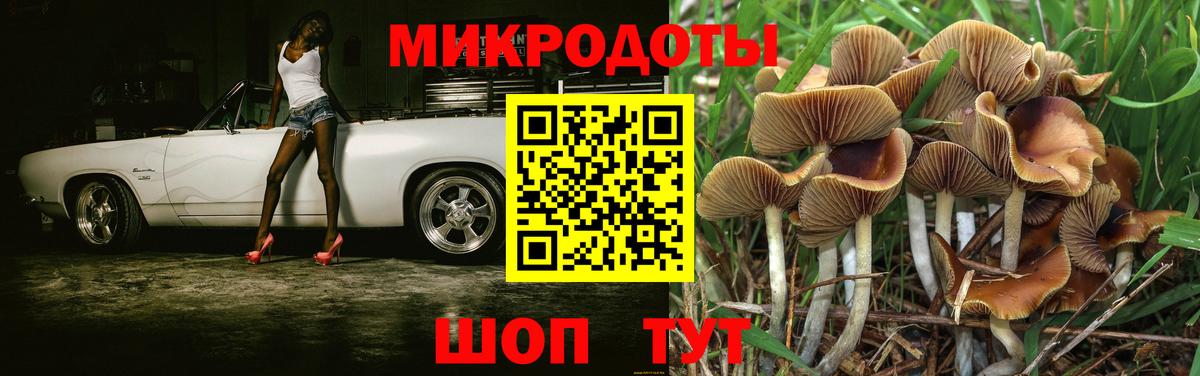 Галлюциногенные грибы Psilocybine cubensis  купить закладку  Кохма  Вход с VPN 